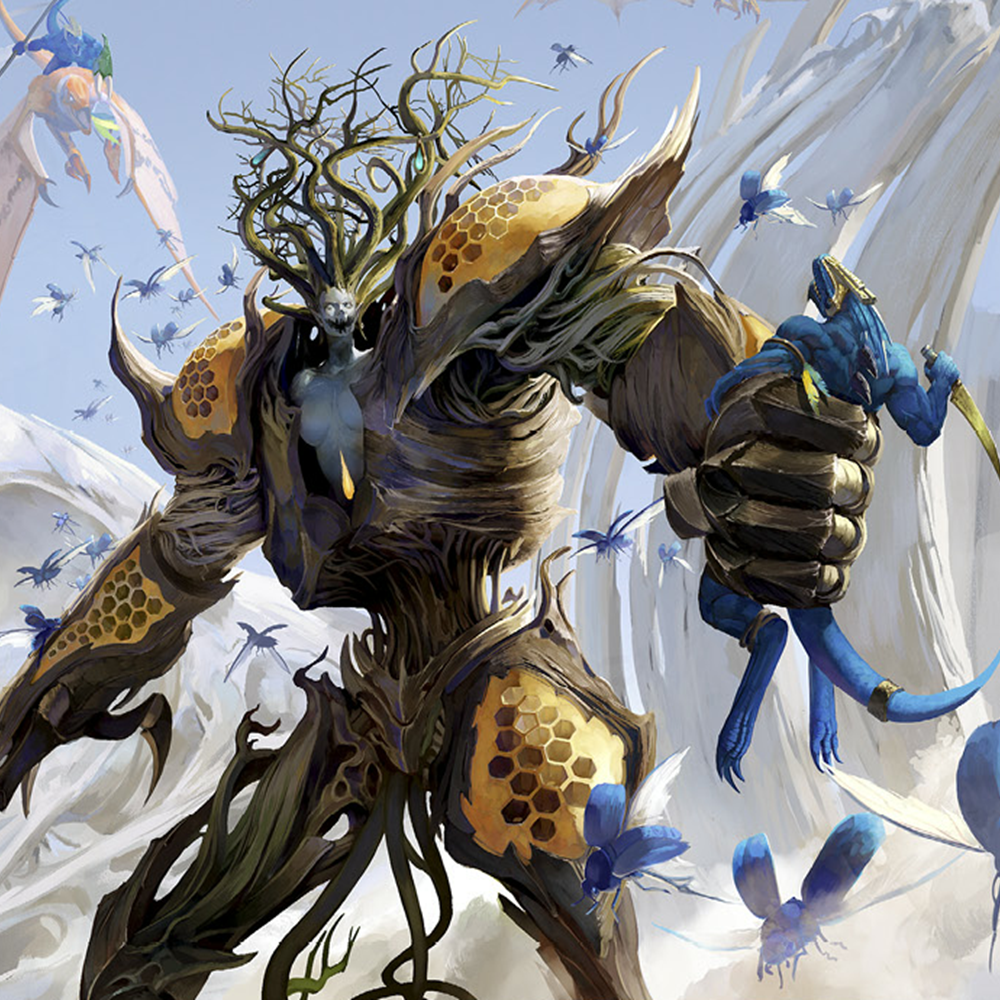 Drycha Hamadreth
